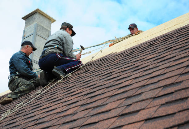 Quick and Trustworthy Emergency Roof Repair Services in Sneads, FL